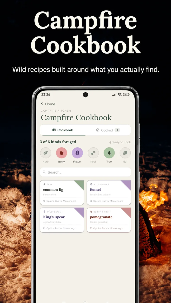 Campfire Cookbook — wild recipes