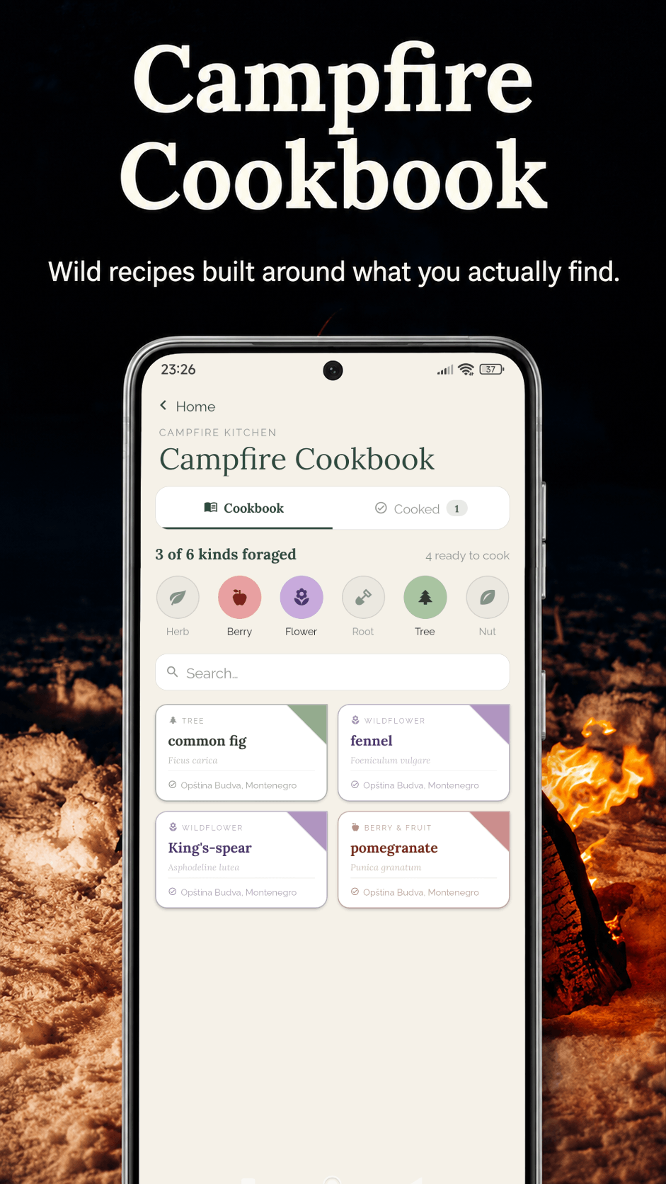Campfire Cookbook — wild recipes