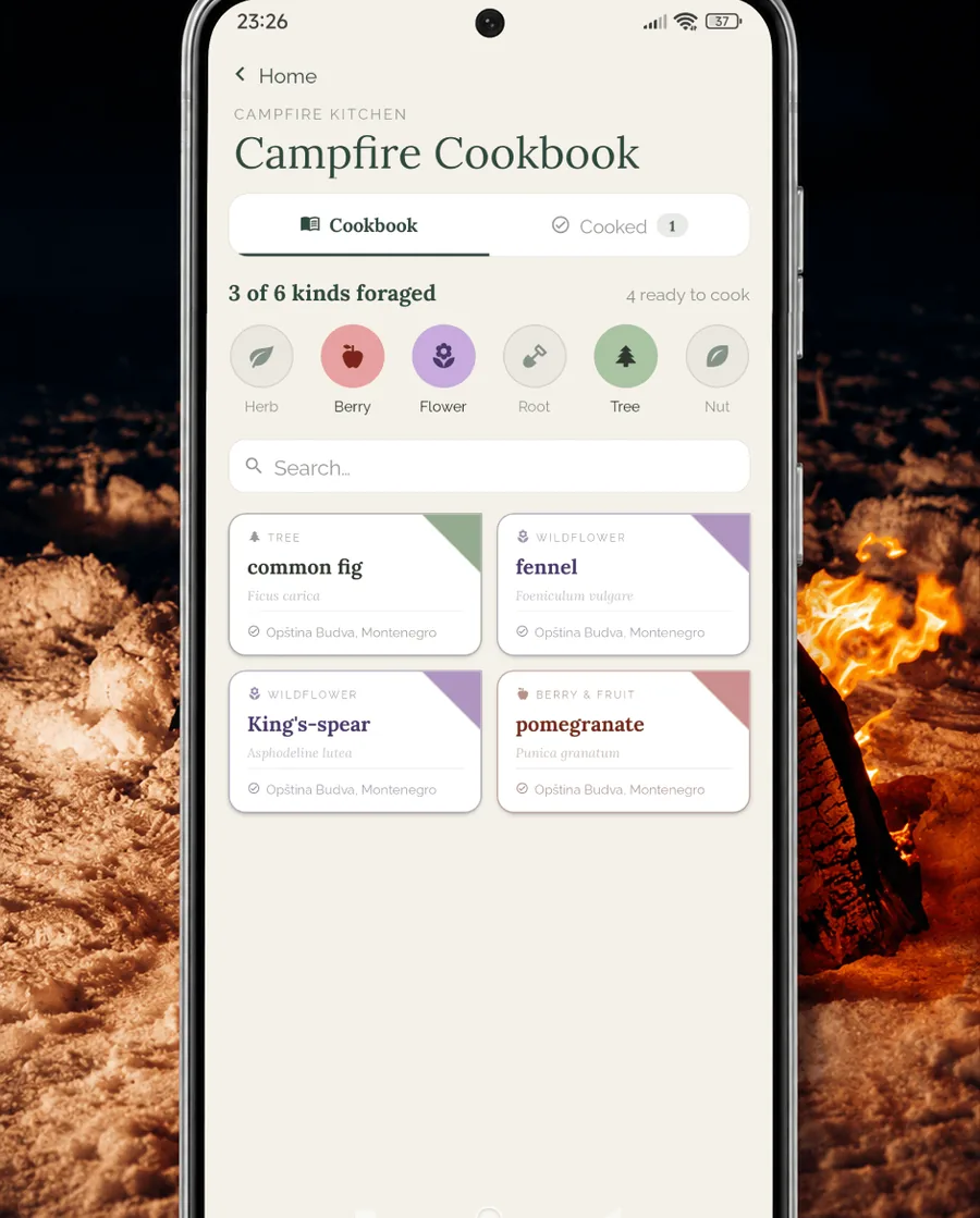 Campfire Cookbook — wild recipes built around what you find